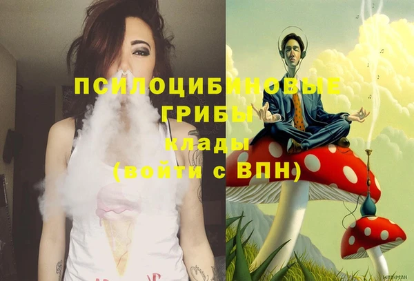 ALPHA PVP Вязники