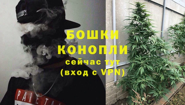 гидра Волоколамск
